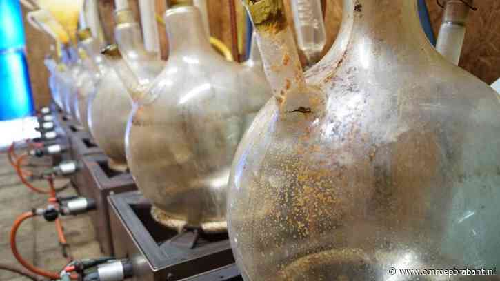 Werkend drugslab opgerold: mannen uit Best, Eindhoven en Waalre opgepakt