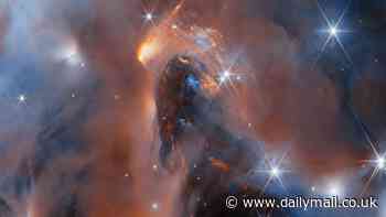 James Webb captures stunning new image of planets that've 'gone rogue'