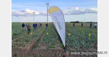 Twintigtal geïnteresseerden wonen jaarlijkse thema-avond biologische uien bij