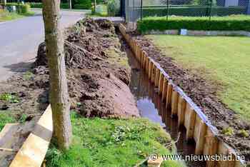 Werken van Pidpa in Azalealaan zorgen voor wrevel: “Wortels van nieuwe boompjes worden gewoon doorgesneden”