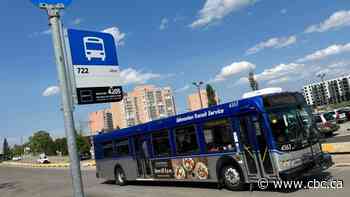 Q&A: Could bus rapid transit improve Edmonton's transit system?