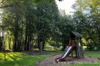 Stadt Warburg lehnt radikales Fällen von Bäumen in der Diemelaue ab