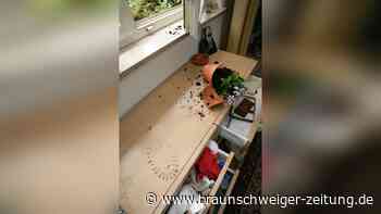 Schutz gegen Einbruch: Das können Hausbesitzer im Harz tun