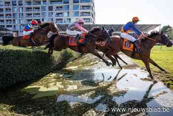 Heuglijk volksfeest op de hippodroom: Waregem Koerse lokt 35.000 bezoekers