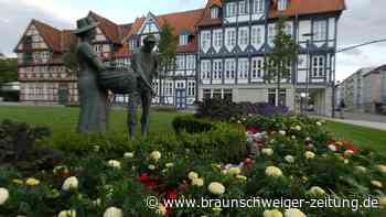 Wolfenbüttel wird sich doch nicht um Gartenschau 2030 bemühen