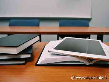 "Ius soli onorario". La mossa dei sindaci dem in pressing sul parlamento