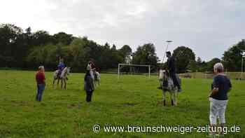 Kann in Essehof bald Polo gespielt werden?