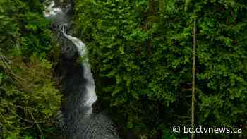 Teenager from Ontario falls to his death on B.C. hike