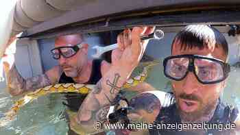 Tag 13 im Dschungel: Molas „Geschlechterrolle rückwärts“