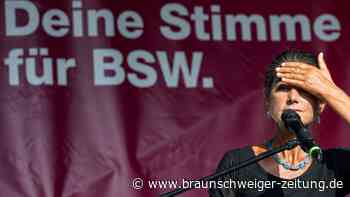 Erneute Datenpanne beim Bündnis Sahra Wagenknecht
