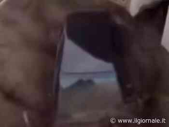 Maltempo, da Nord a Sud: due dispersi per una frana nel casertano