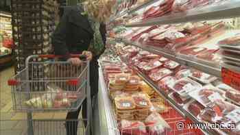 Is the Carnivore Diet promoted by online influencers a good idea?