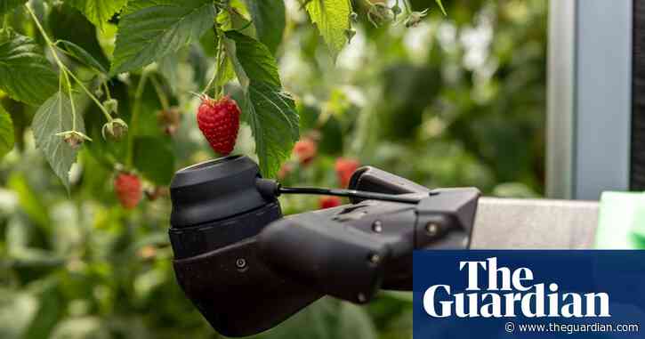 Improved version of ‘Robocrop’ only picks ripe raspberries
