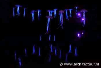 Kunstproject Lichtparcours IAK Braunschweig