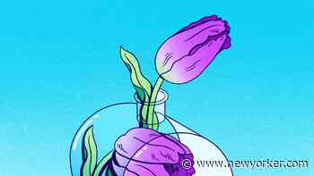 How We Build Learning Over Time