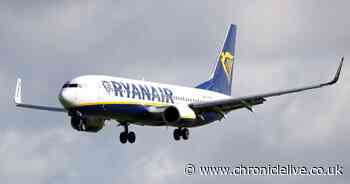 Ryanair boss calls for two-drink limit at airports to curb disorder on flights