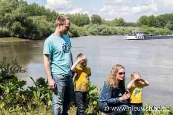 Wandelen en fietsen langs overstromingsgebieden van Durme en Schelde