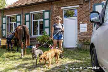 Katrin heropent hondenhotel en dagopvang in Casteleinhoeve: “Door klanten geholpen nadat ik werd weggepest in Vosselaar”