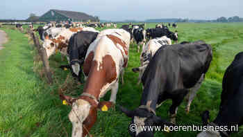 Rabobank ziet liquiditeit op melkveebedrijf verbeteren