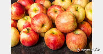 Duitse telers voorzichtig optimistisch over nieuwe appeloogst