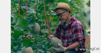 Meloenen in Centraal-Amerika hoeksteen van de regio