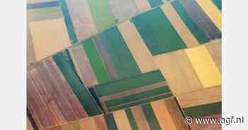 "Verdienmodel 'kampioen landbouw Nederland' is failliet"