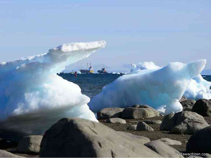 Latham: Canada needs a 'grand strategy' that prioritizes the Arctic
