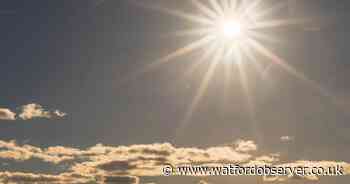 Yellow 'heat health' warning in place for Hertfordshire today