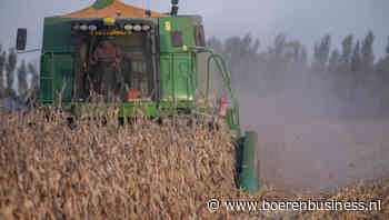 Dip in granen wekt belangstelling speculanten