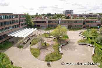 Leuvense scholen ontharden en vergroenen speelplaatsen: “Eenden zijn mascottes van de school geworden”