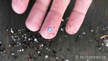 How much microplastic is in your coffee? New device by UBC researchers could tell you