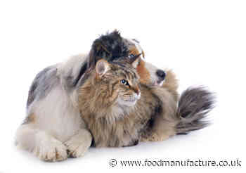 Emerging and growing trends in pet food