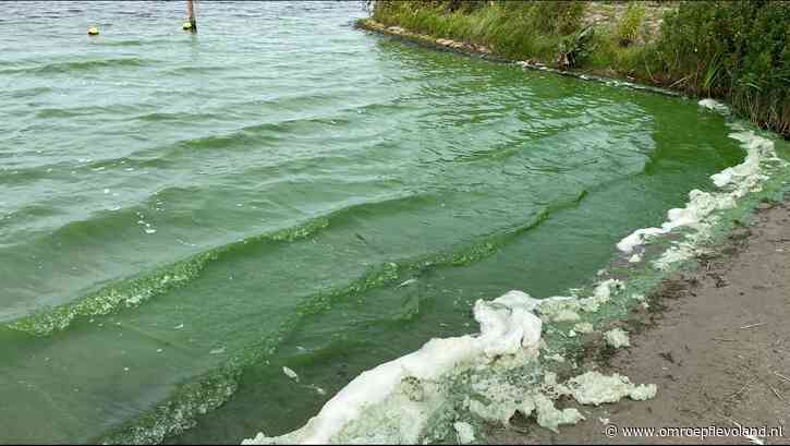 Flevoland - Geen blauwalg meer op Almeerderstrand, maar wel bij Spijkstrand