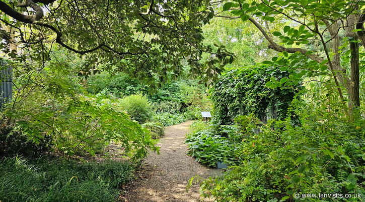 Tickets Alert: Free entry into the Chelsea Physic Garden