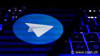 Richter entscheiden über Vorgehen im Fall des Telegram-Chefs Durow