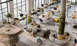 Imre hires Tracy Zuto to lead creative for healthcare, consumer