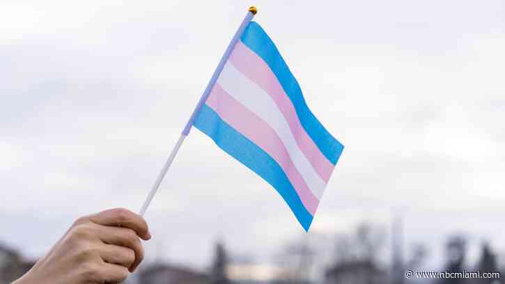 US appeals court allows Florida to enforce ban on transgender care for minors