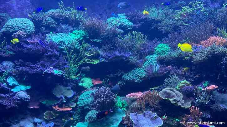 US national parks are receiving record-high gift of $100M