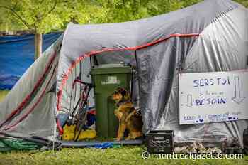 Montreal to build 60 modular housing units for people experiencing homelessness
