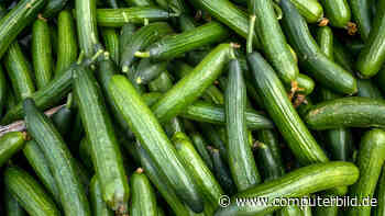 Beliebter Influencer verursacht Gurkenkrise auf Island