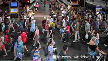 Was für und gegen eine Begrenzung der Einwanderung spricht