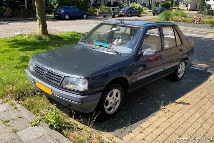 Deze Peugeot 309 is van een extra zeldzame soort - In het Wild