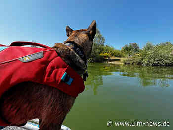 Vermisster Schwimmer oder nur herrenlose Kleidungsstücke?