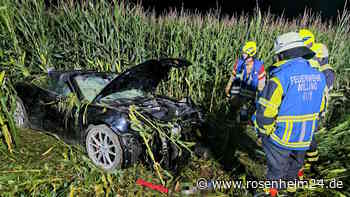 Mit Porsche gegen Baum gekracht – Mann flüchtet aus Rettungswagen und lässt auch Hund zurück