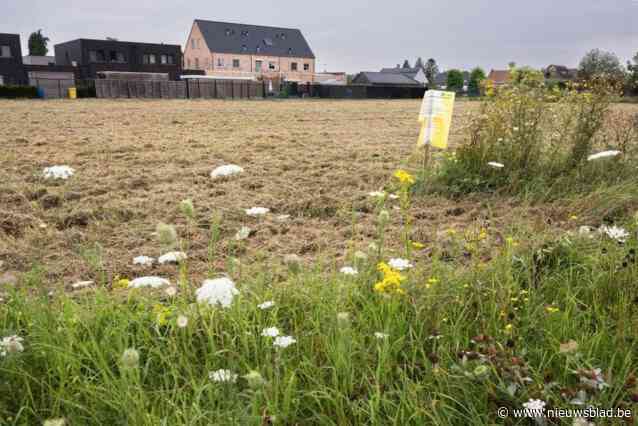 Groen reageert op aangetekend beroep Okay-buurtwinkel