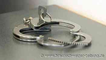 Goslarer „Horror-Prozess“: Angebliches Opfer erfand ganze Romane