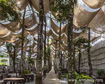 The Mix Restaurant / The Bloom