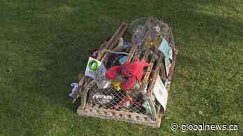 Lobster’s ‘absolutely epic’ cross-country journey brings Canadians together