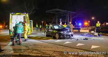 Dierenaar staat terecht voor aanrijding, maar vindt vakantie in Dubai belangrijker