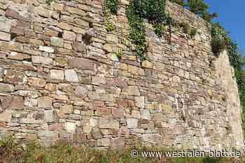 Vlotho: Naturschützer kritisieren anstehende Sanierung der Burg